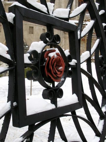 Ограда