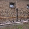 Забор